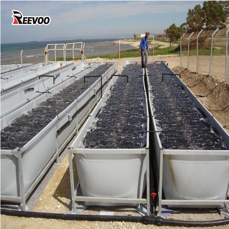 pvc fish pond.jpg